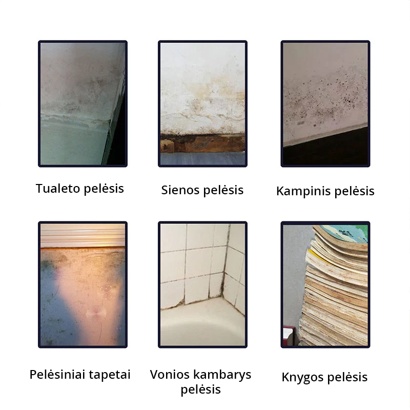 Pelėsio valiklis