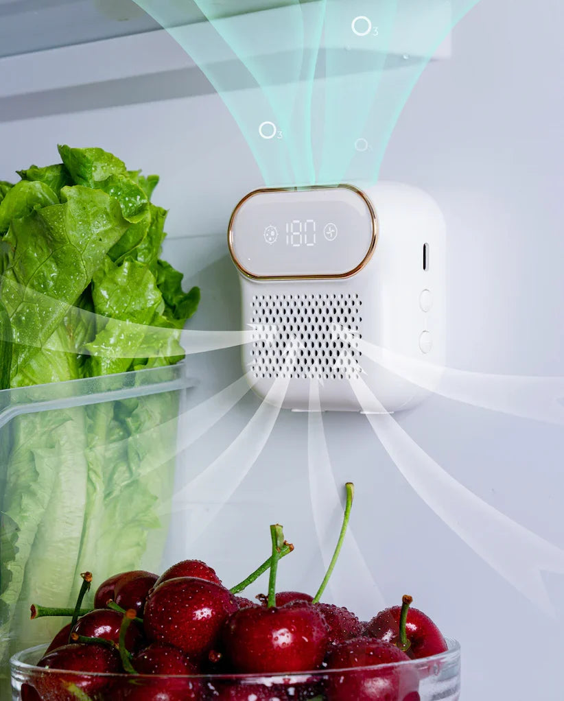 FreshGen™ kvapą naikinantis ozono įrenginys