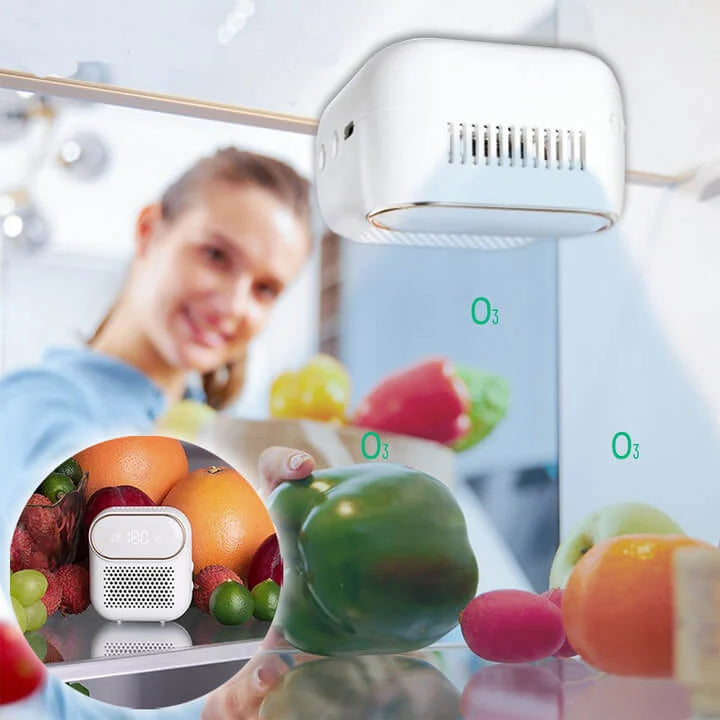 FreshGen™ kvapą naikinantis ozono įrenginys