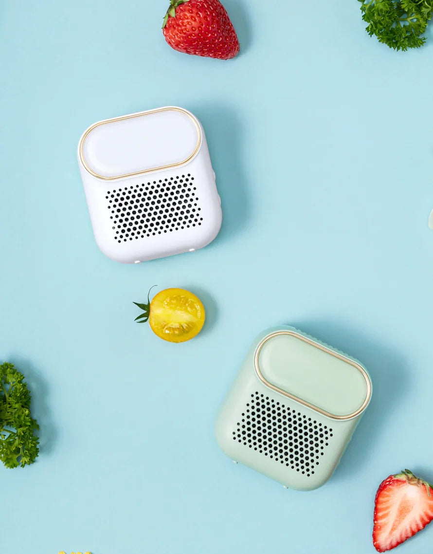 FreshGen™ kvapą naikinantis ozono įrenginys