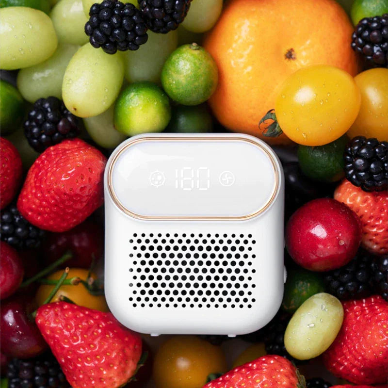 FreshGen™ kvapą naikinantis ozono įrenginys